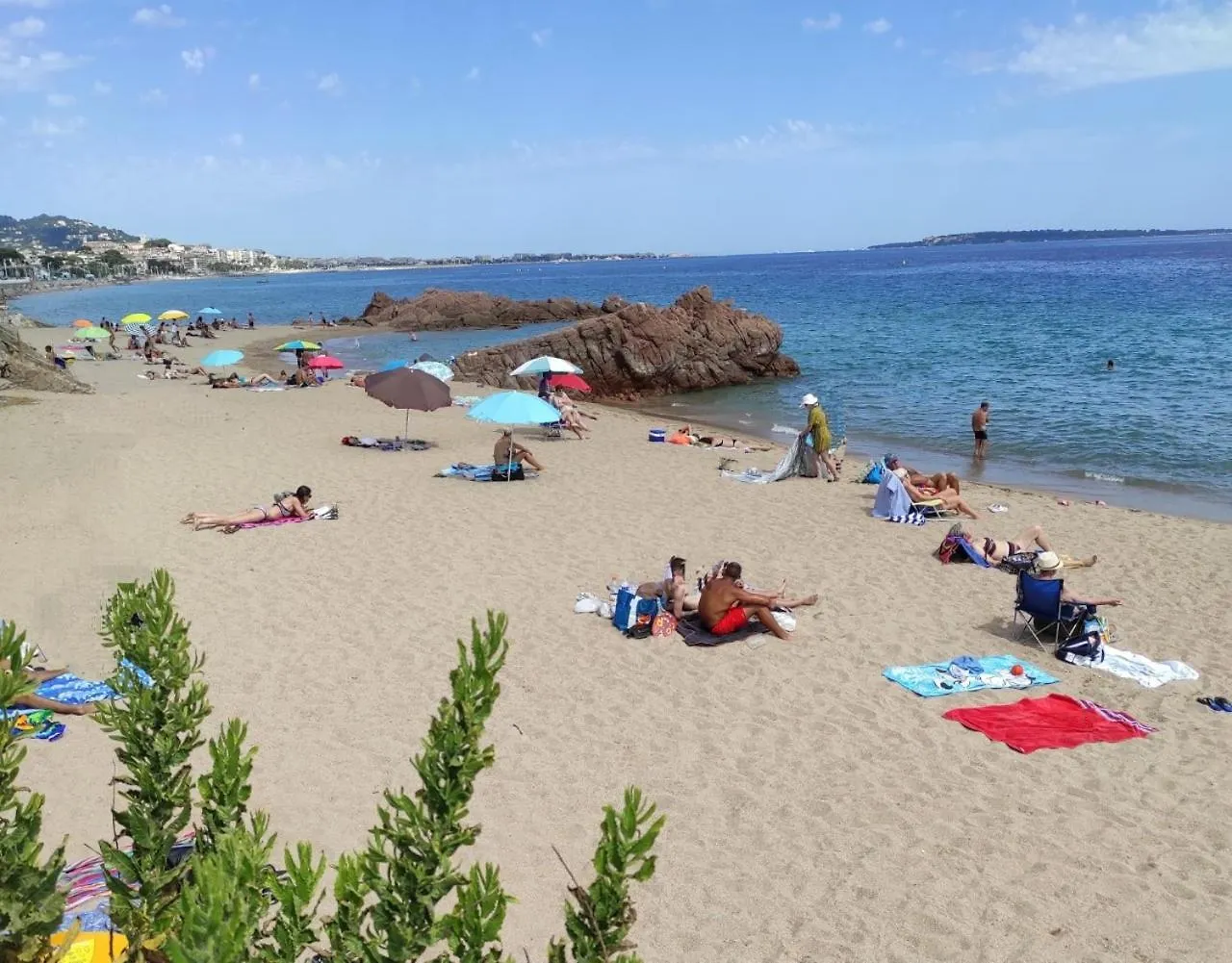 Agreable Chambre D'Hote A 50M De La Mer Cannes France
